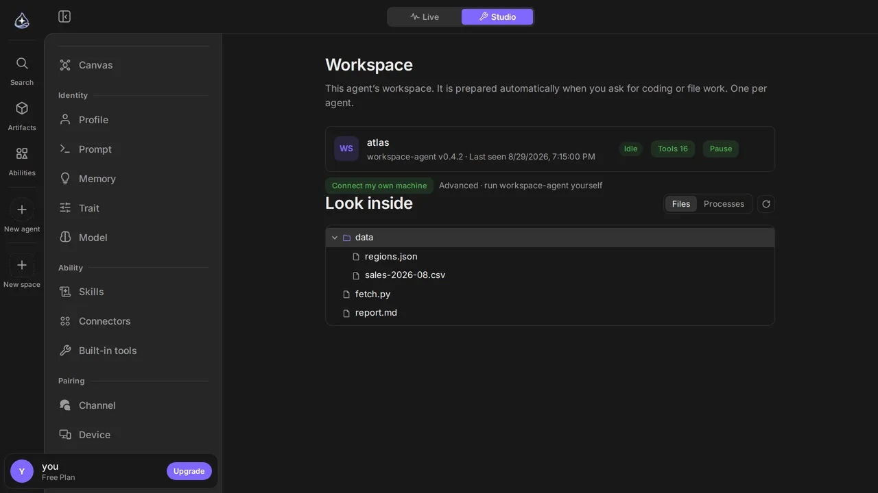 The workspace section: the connected workspace agent with its status, and below it a file tree showing a data directory expanded beside two files.