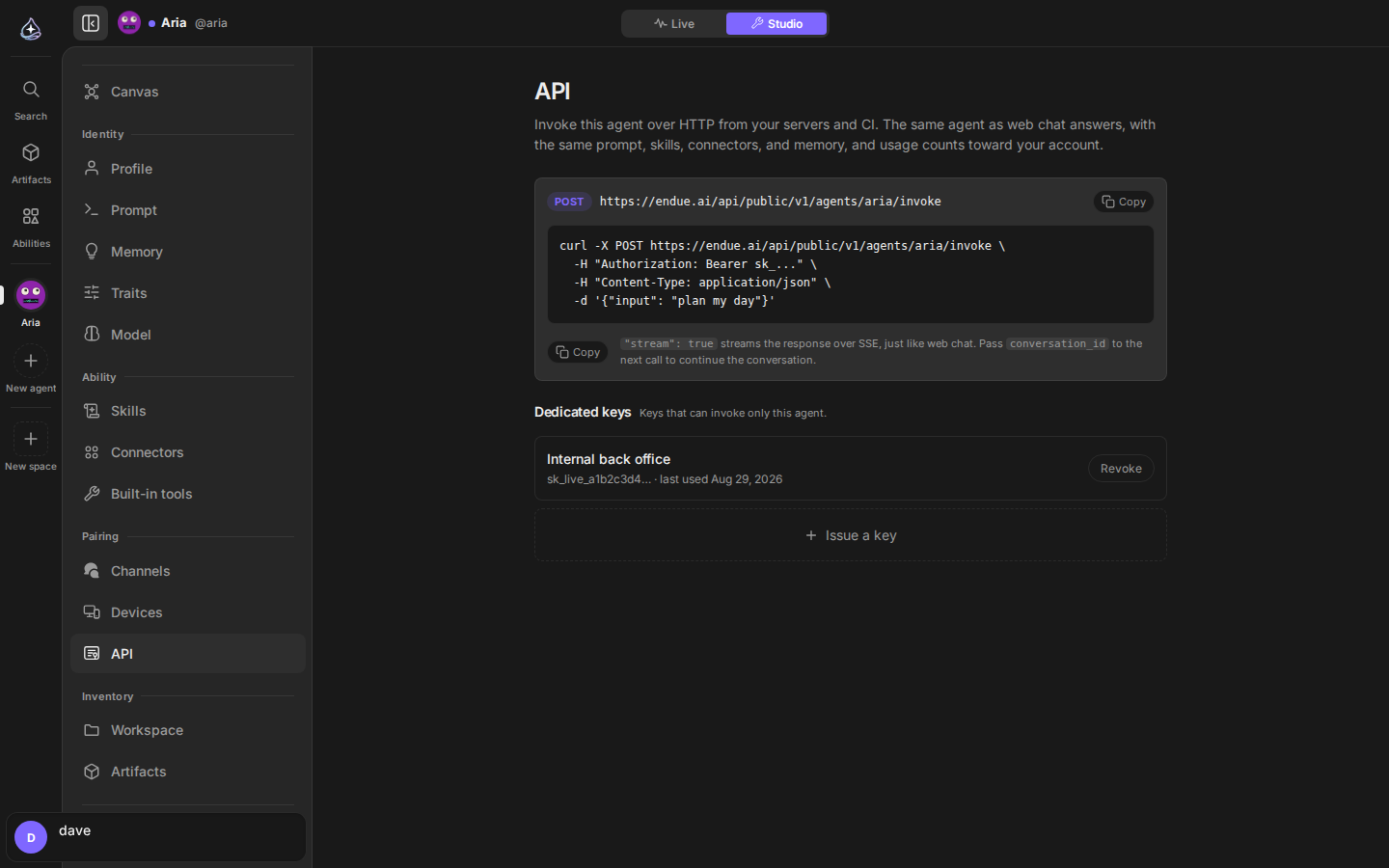 Agent API: invoke endpoint with curl example and scoped keys