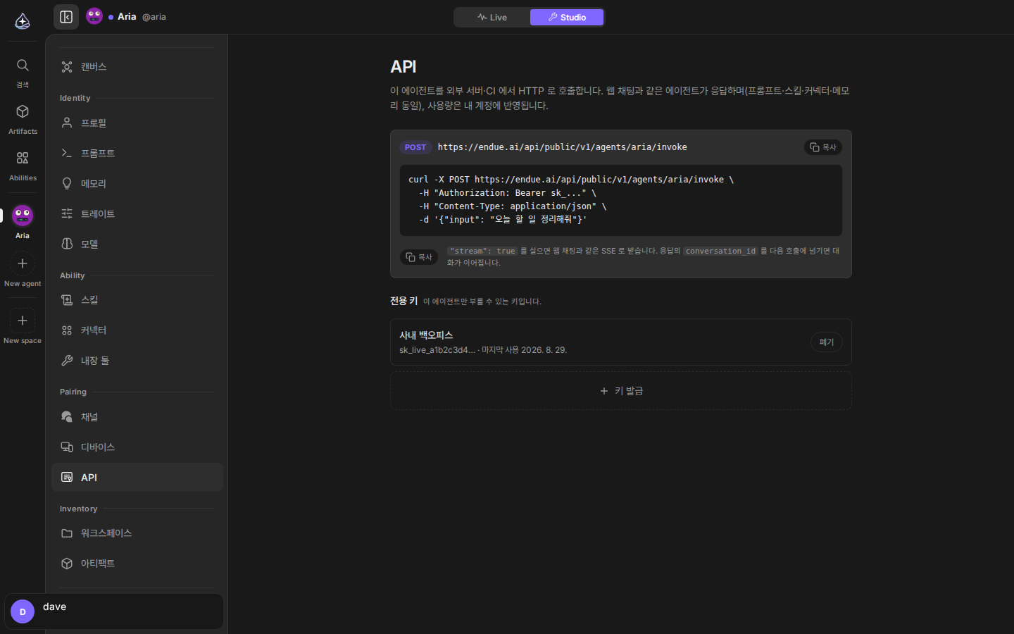 에이전트 API: invoke 엔드포인트와 curl 예시, 전용 키