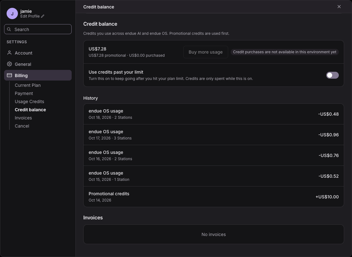 Settings › Billing: the credit balance shared by endue AI and endue OS, with endue OS usage