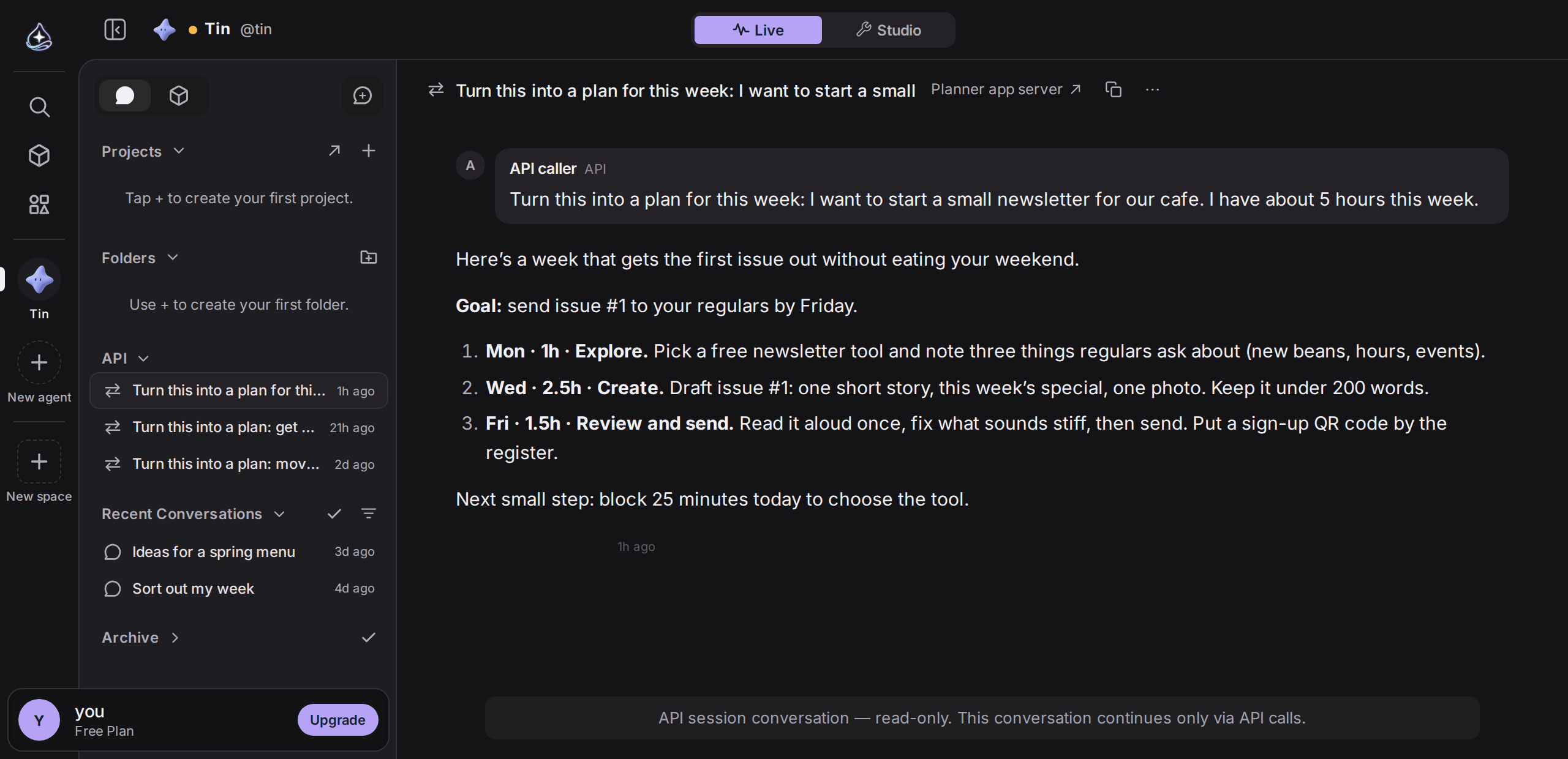 An API conversation with Tin. The sidebar’s API group lists three sessions, and the main view shows the API caller’s request and Tin’s weekly plan. The key name “Planner app server” appears next to the title.